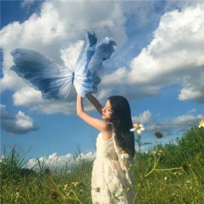 艾米丽的美国化 海报